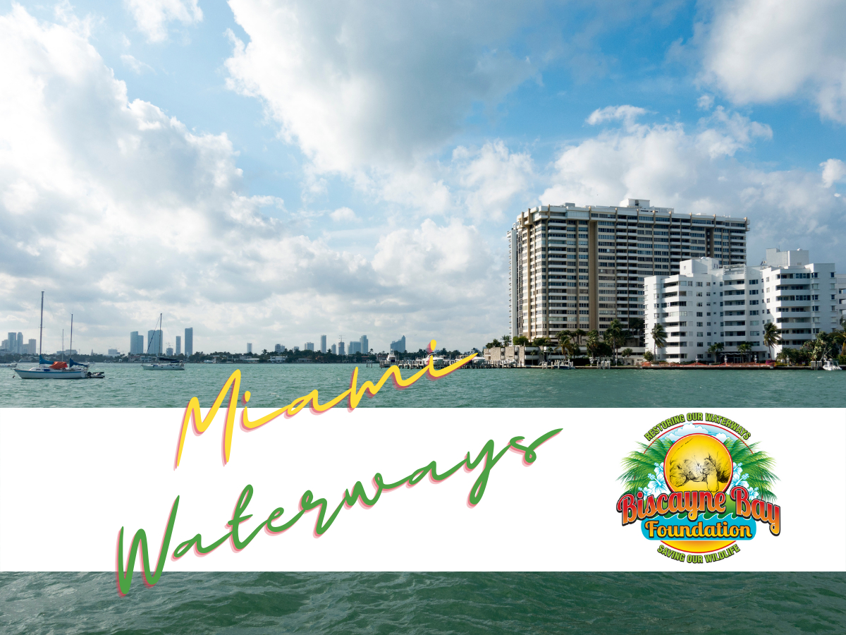 Miami Waterways to for nonprofits cleanup.